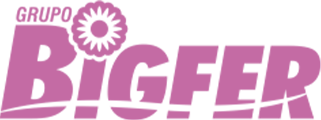 Logo da marca Grupo Bigfer em cor rosa