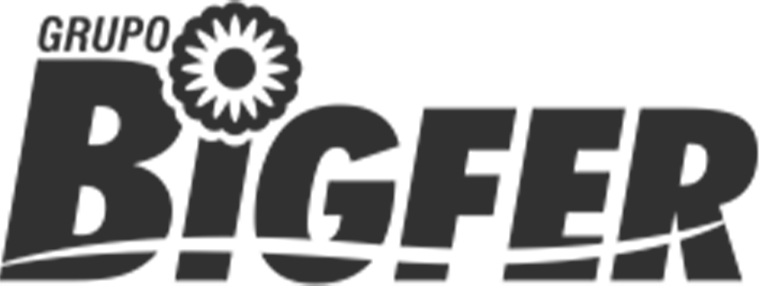 Logo da marca Grupo Bigfer em cor preta