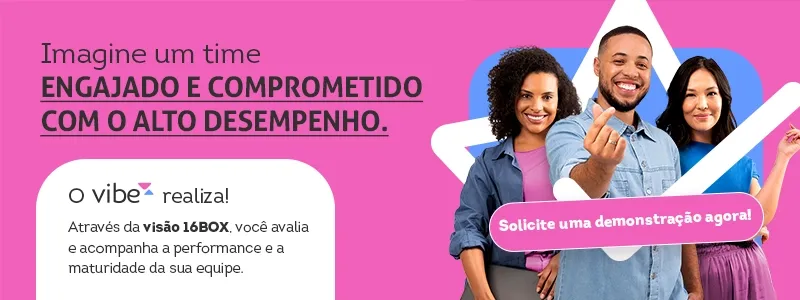 Banner do Produto Vibe, da Metadados.